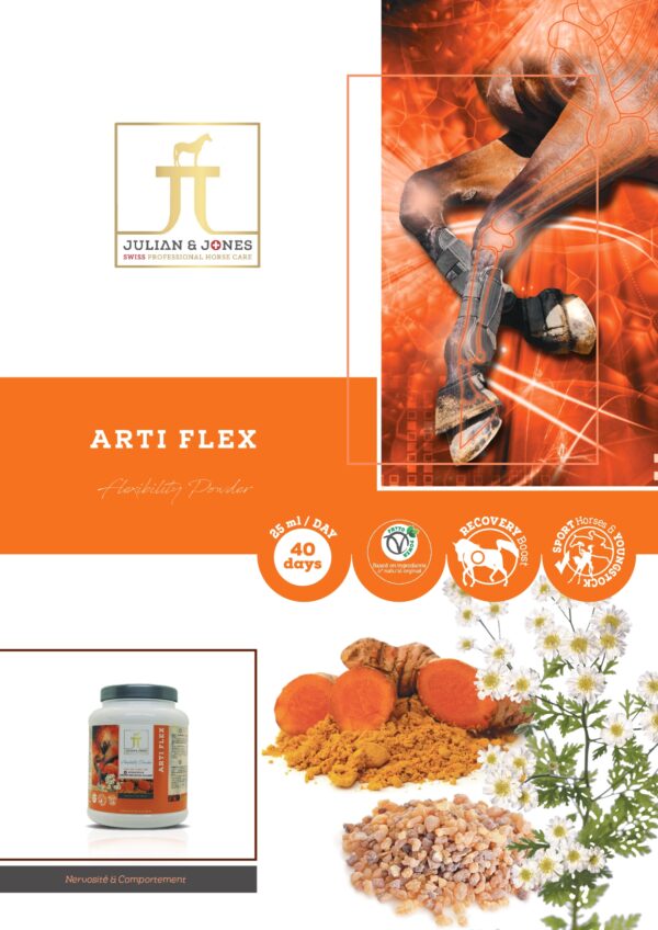 Julian & Jones - Arti Flex – Image 2