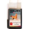 Sanyata - Eisen & Vit B Komplex