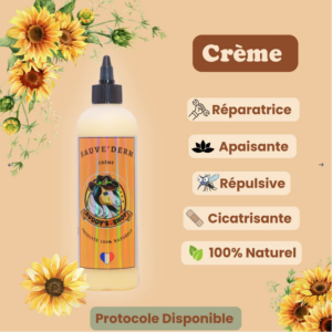 Buddy's Shop - Sauve' Derm